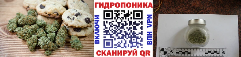 MEGA маркетплейс  даркнет сайт  Борзя  Еда ТГК конопля 