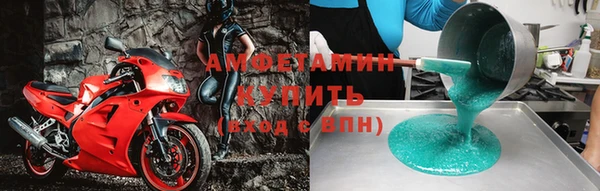ГАЛЛЮЦИНОГЕННЫЕ ГРИБЫ Богданович