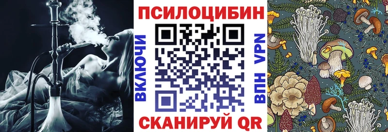 kraken ONION  что такое наркотик  Борзя  Галлюциногенные грибы прущие грибы 